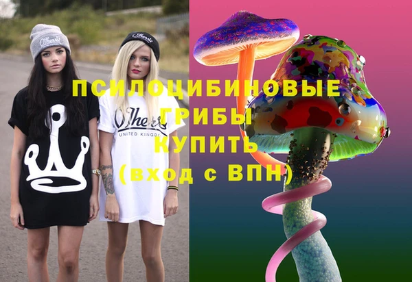 бошки Инсар