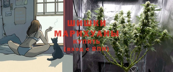 дживик Иннополис