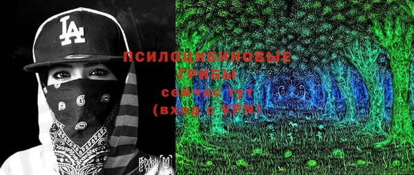 бошки Инсар
