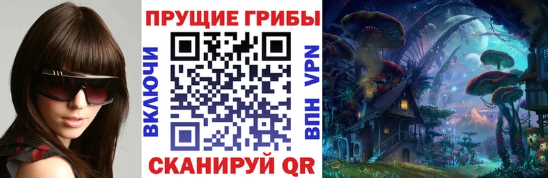 Галлюциногенные грибы Psilocybe Узловая