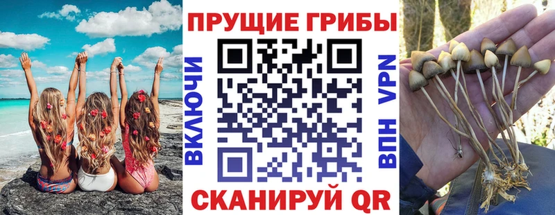 Купить закладки  Узловая  Галлюциногенные грибы мицелий 